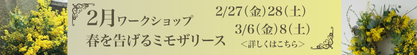 ワークショップのお知らせ