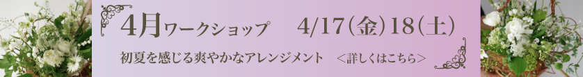 ワークショップのお知らせ