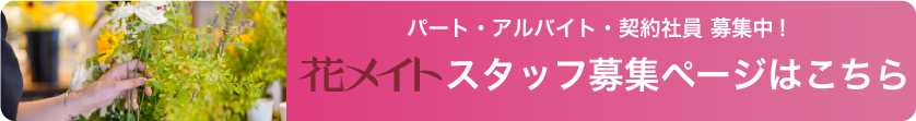 スタッフ募集ページはこちら